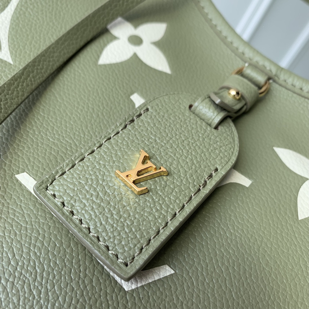 LV M46672 CarryAll PM M46672